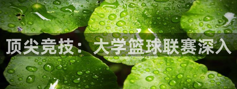 意昂f凯捷注册