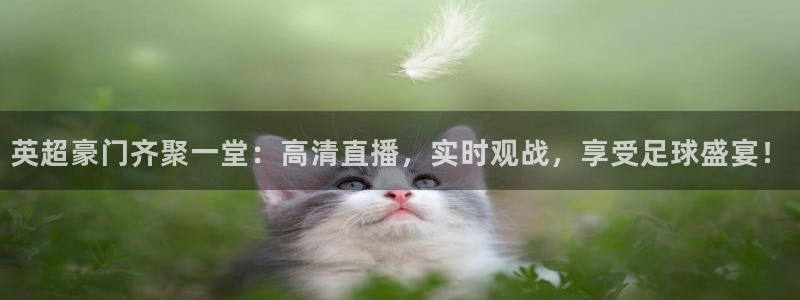 意昂f凯捷体育4