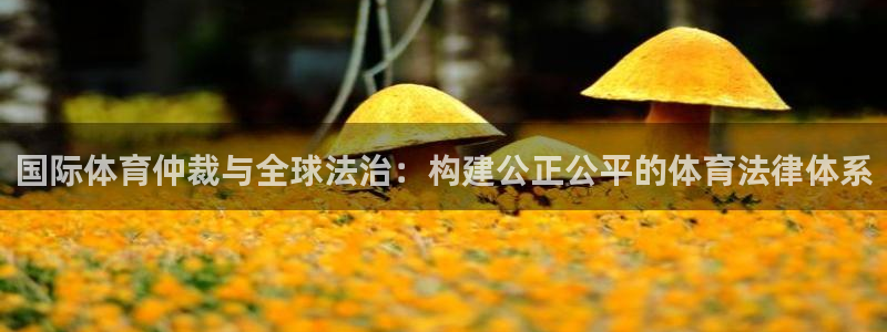 意昂f凯捷体育注册平台