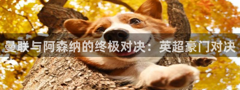 意昂f凯捷4官网